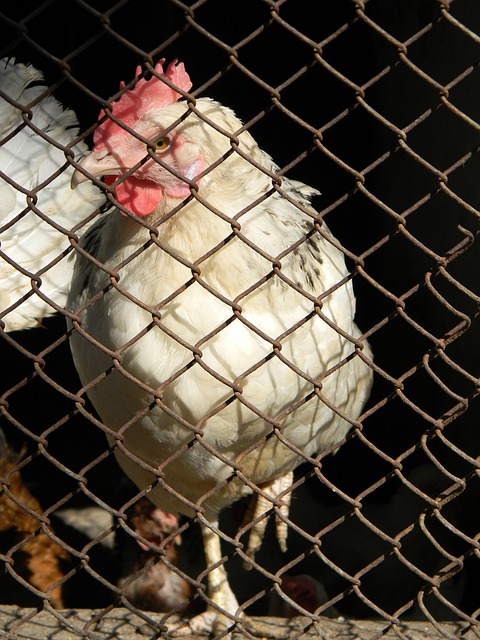 足球报：亚泰本赛季主要问题是资金不足，开局赛程也埋下伏笔