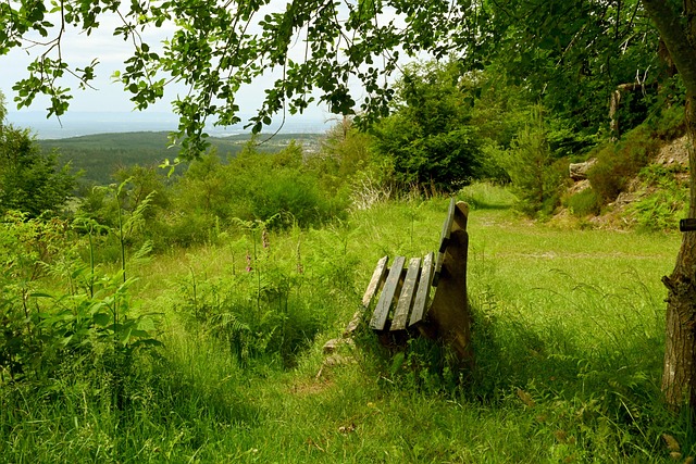 比赛第23圈，诺里斯追赶角田时四轮出白线，被赛会记录。